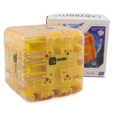 3D Maze Cube (85mm)