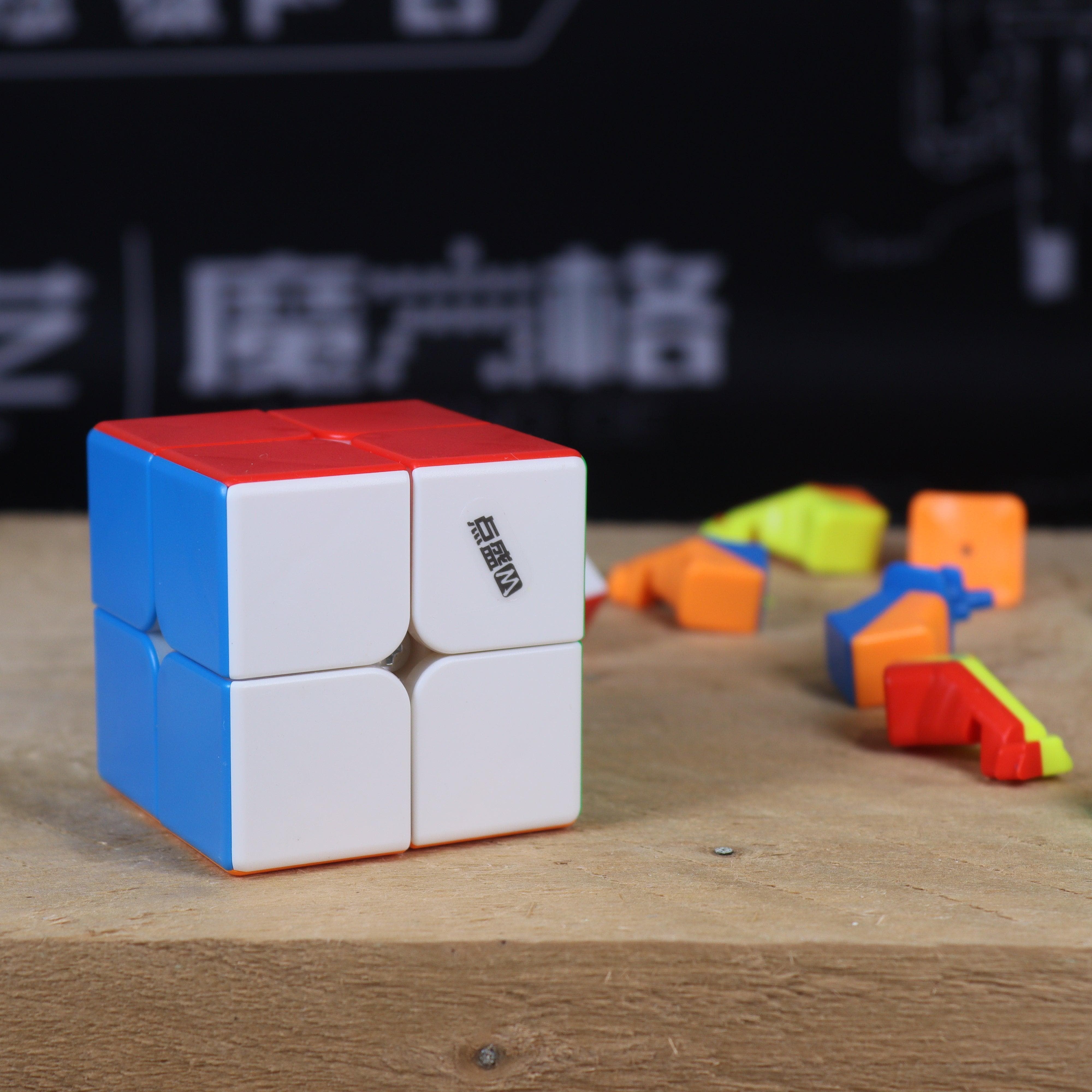 DianSheng 2x2 Magnetic