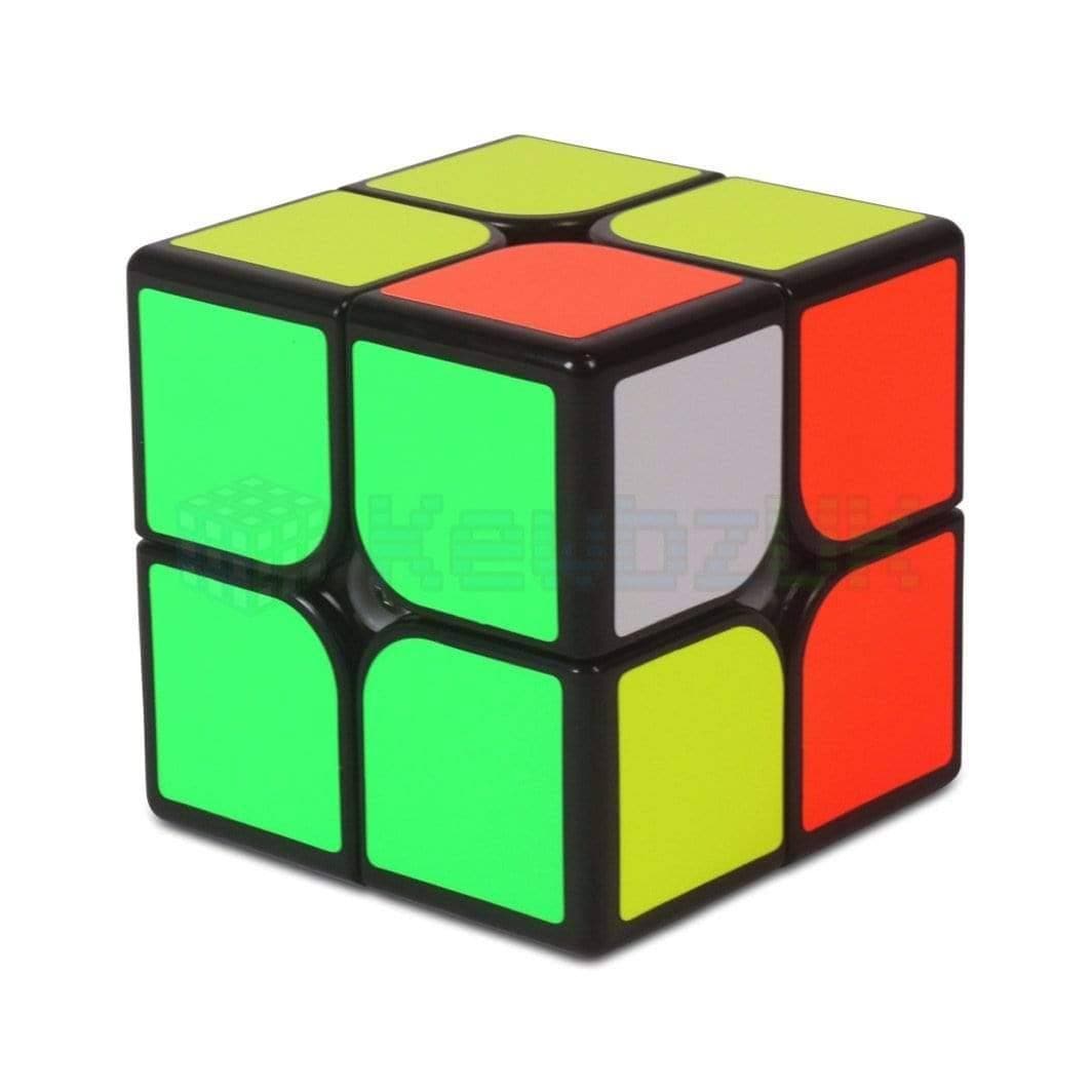 TSM 2x2 magnetic MoYu speedcube kewbzuk